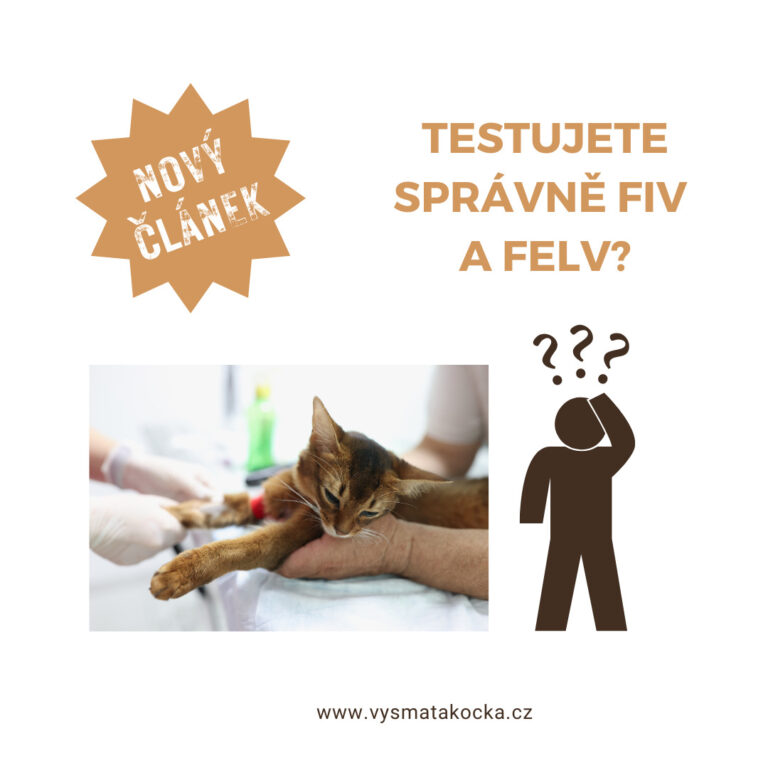 Testujete správně FIV a FeLV