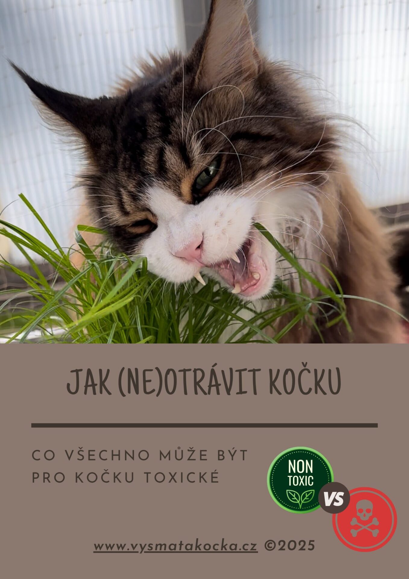 ebook jak neotrávit kočku