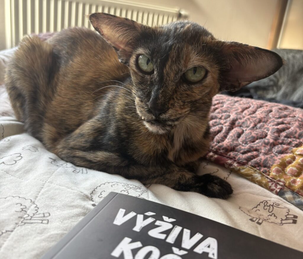 Kniha Výživa koček