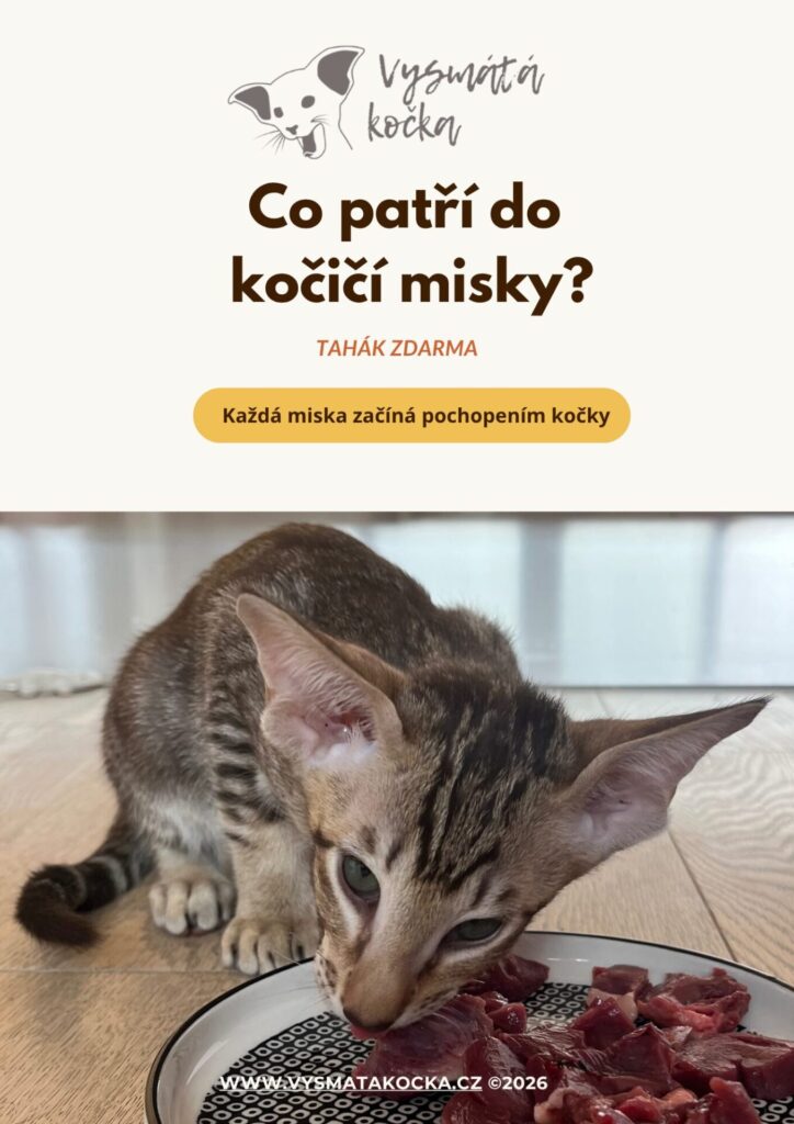 Tahák Výživa koček